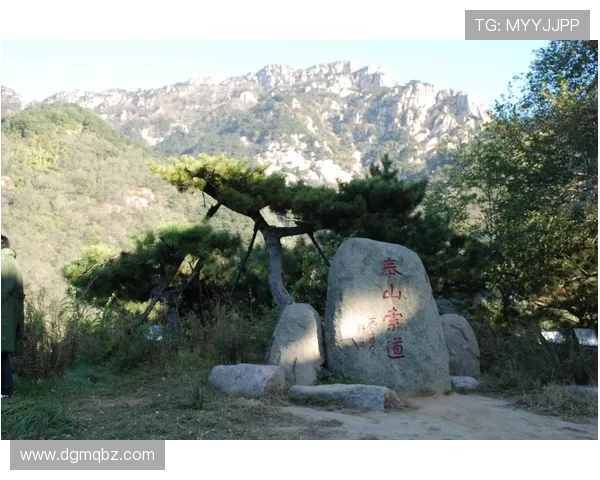 山东泰山历史文化与自然景观融合发展研究探索路径 山东泰山历史文化与自然景观融合发展研究探索路径
