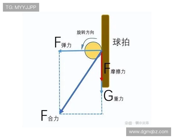 乒乓球运动的技巧与发展：从基础训练到国际赛事的全方位解析