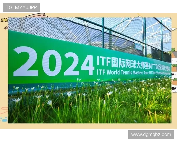 在绿色赛场上追逐梦想探寻网球运动的激情与智慧之美