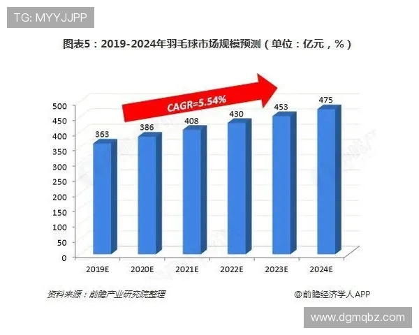 乒乓球运动发展历程及其在全球范围内的影响与普及分析