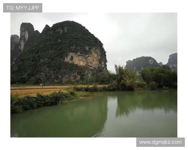 《电竞产业蓬勃发展：从职业联赛到全球化商业化趋势的深度解析》