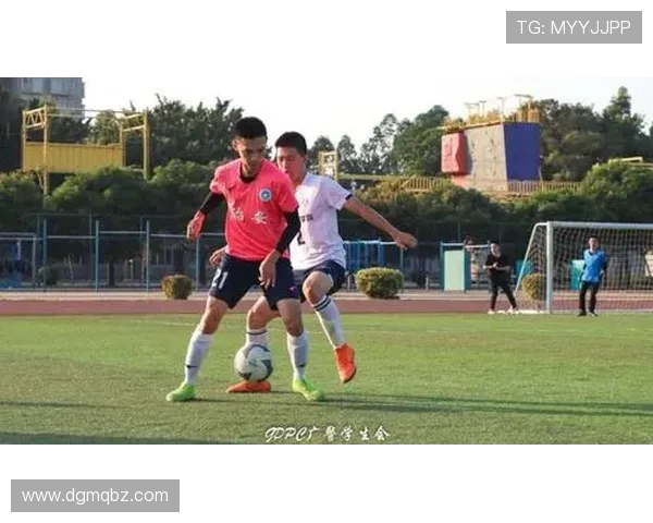 当激情绿茵遇上智慧战术足球世界的力量与梦想交响